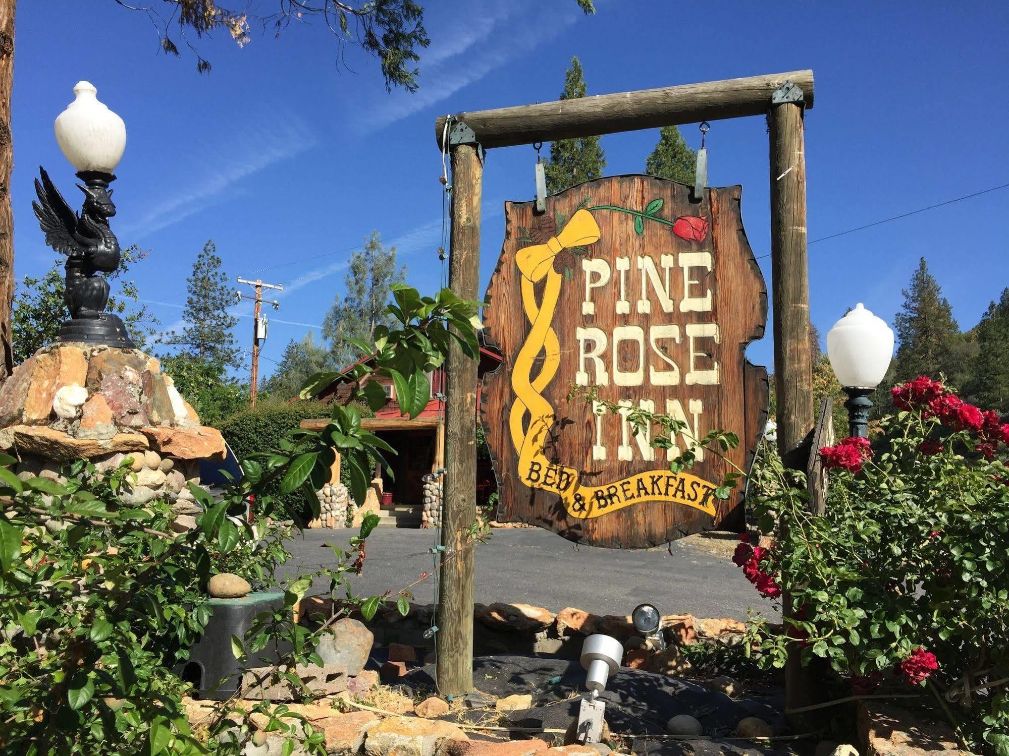 Pine Rose Inn 奥克赫斯特 外观 照片